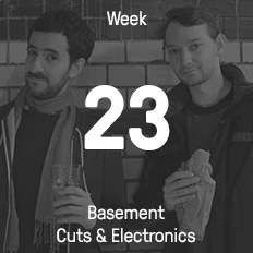 Week 23 / 2015 - Basement Cuts & Electronics