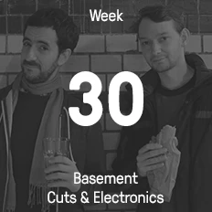 Week 30 / 2015 - Basement Cuts & Electronics