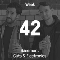 Week 42 / 2015 - Basement Cuts & Electronics