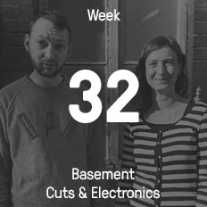 Week 32 / 2016 - Basement Cuts & Electronics