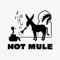 Louis Hautemulle - HHV Mag Artist & Partner Vinyl Charts aus 2019