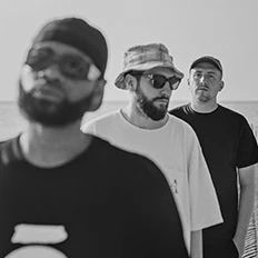 Endgame - HHV Mag Artist & Partner Vinyl Charts aus 2023