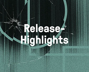 Release-Highlights 2025