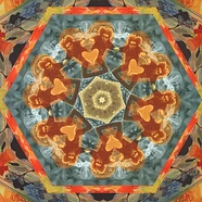 The Gaslamp Killer x Serato - Break Stuff: Official Serato Control Vinyl CV02.5