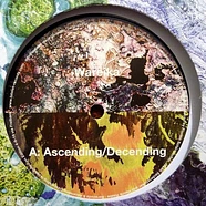 Wareika - Ascending/Descending / Baracuda