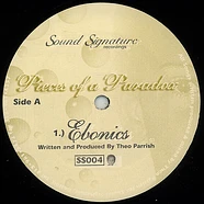 Theo Parrish - Pieces Of A Paradox