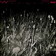 Cucina Povera & ELS - The Oystercatcher