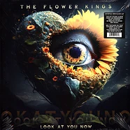 The Flower Kings - Look At You Now