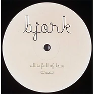 Björk - All Is Full Of Love (Remixes)