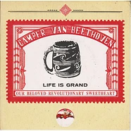 Camper Van Beethoven - Life Is Grand