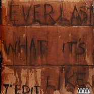 Everlast - What Its Like / Ends