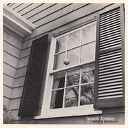 Beach Fossils - What A Pleasure