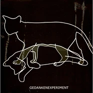 Gedankenexperiment - Experiment Defined