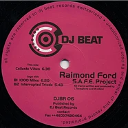 Raimond Ford - S.A.F.E. Project