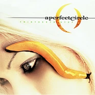 A Perfect Circle - Thirteenth Step