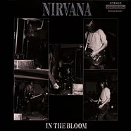 Nirvana - In The Bloom - Italy November 1989