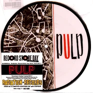 Pulp - Everybody's Problem / There Was.. Record Store Day 2025 Picture Disc Vinyl Edition