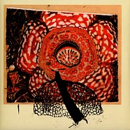 David Fenech & Klimperei - Rainbow De Nuit