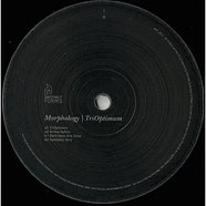 Morphology - TriOptimum