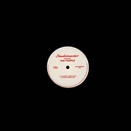 Marco Passarani - The Temple