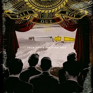 Fall Out Boy - From Under The Cork Tree Black Vinyl Edition