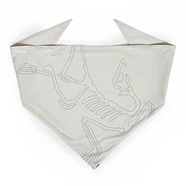 Arc'teryx - Sinsolo Bandana
