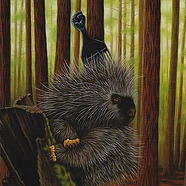 Madlib - Low Budget High Fi Music