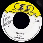 Beenie Man - Old Dog