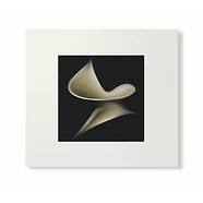 Susumu Yokota - Laputa (Skintone Edition)