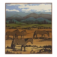 Pendleton - Artist Collection Blanket
