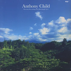 Anthony Child (Surgeon) - Electronic Recordings From Maui Jungle Volume 2