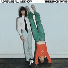 The Lemon Twigs - A Dream Is All We Know Black Vinyl Ediiton