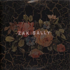 Zak Sally's Fear Of Song - Why We Hide