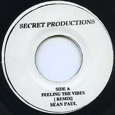 Sean Paul - Feeling The Vibes (Remix)