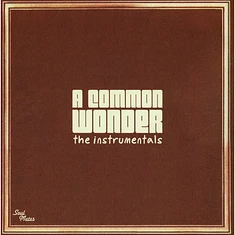 Common vs. Stevie Wonder - A Common Wonder Instrumentals