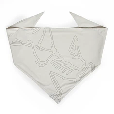 Arc'teryx - Sinsolo Bandana