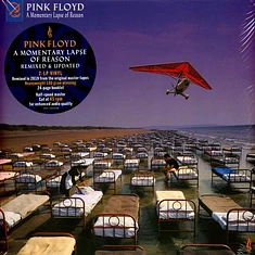 Pink Fl Oyd - A Momentary Lapse Of Reason