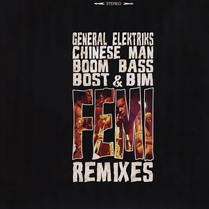Femi Kuti - Remixes