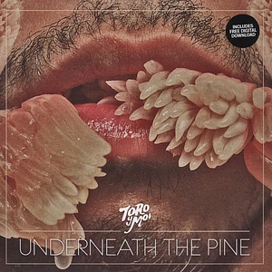 Toro Y Moi - Underneath The Pine