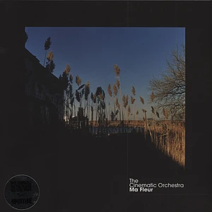The Cinematic Orchestra - Ma Fleur