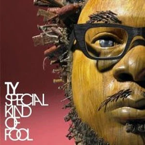 Ty - Special Kind Of Fool