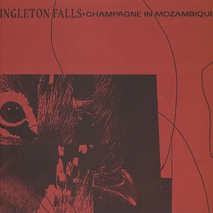 Ingleton Falls - Champagne In Mozambique