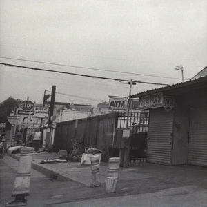 Evidence of Dilated Peoples - Weather Or Not Blue Vinyl Edition