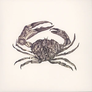 Adam Stromstedt - Crab Shack