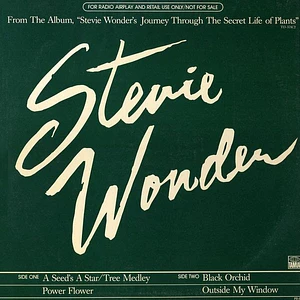 Stevie Wonder - A Seed's A Star / Tree Medley