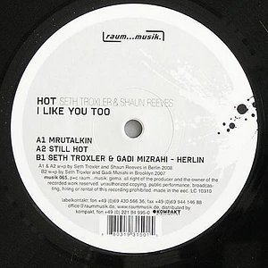 Seth Troxler & Shaun Reeves - Hot - I Like You Too