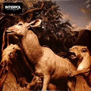 Interpol - Our Love To Admire