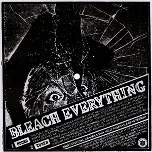 Bleach Everything - Bound / Cured Flexi Disc Edition