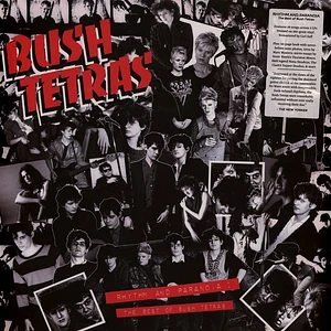 Bush Tetras - Rhythm And Paranoia: The Best Of Bush Tetras