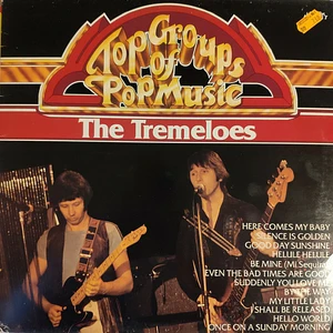 The Tremeloes - Top Groups Of Pop Music